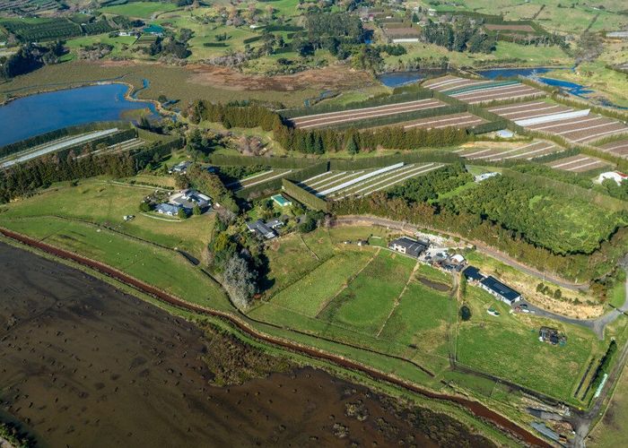  at 12 Sargent Drive, Whakamarama, Western Bay Of Plenty, Bay Of Plenty