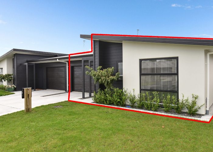  at 4/1 Murray Street, Maeroa, Hamilton