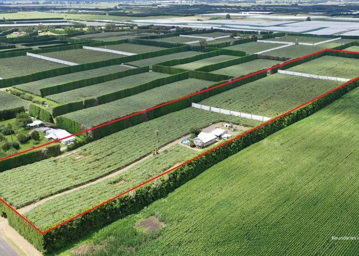  at 136 Kelly Road, Te Puke, Western Bay Of Plenty, Bay Of Plenty