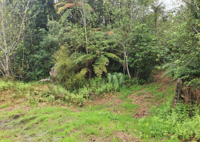  at 0 Bower Hill Rd, Whataroa