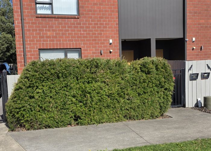  at 115 Banks Street, Marfell, New Plymouth, Taranaki