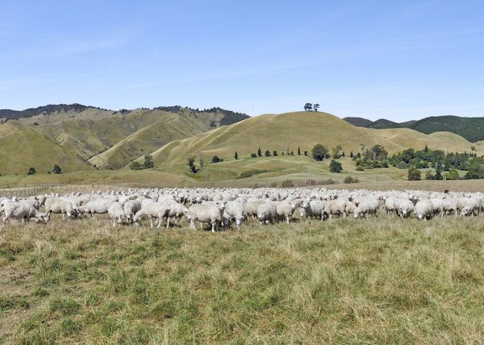  at 959 Eighty Eight Valley Road, Wakefield, Tasman, Nelson / Tasman