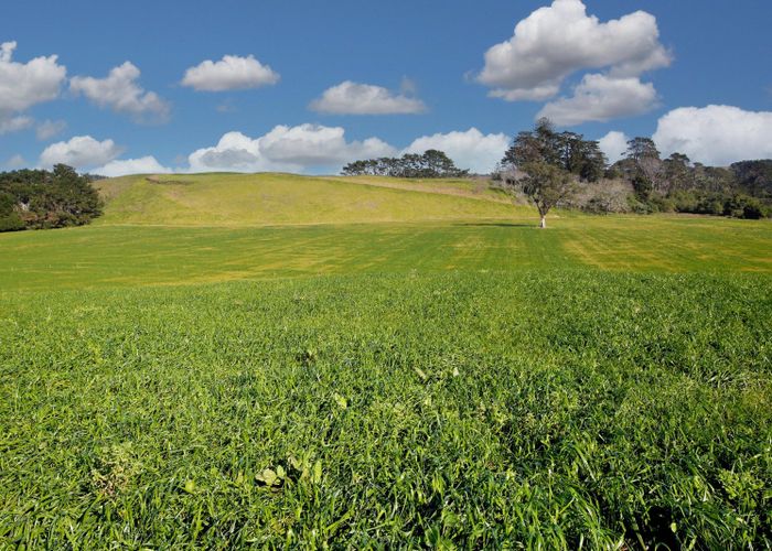  at 41 McNaughten Road, Waiuku, Franklin, Auckland