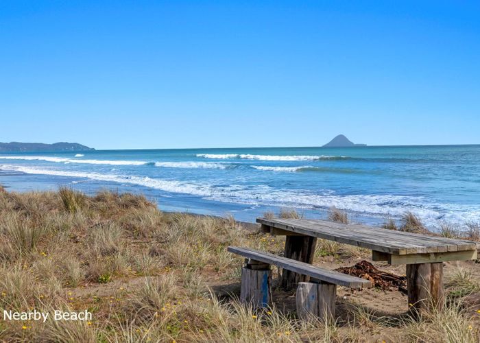  at 29 Bryan Road, Waiotahe, Opotiki