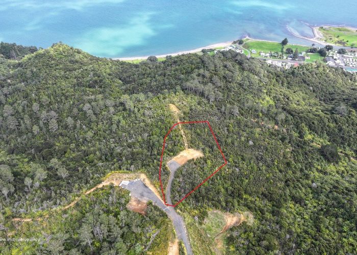  at 111 Tapu Heights Rise, Tapu, Thames-Coromandel, Waikato