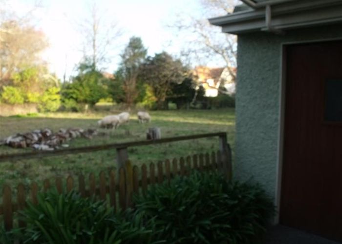  at 620 York Street, Mahora, Hastings