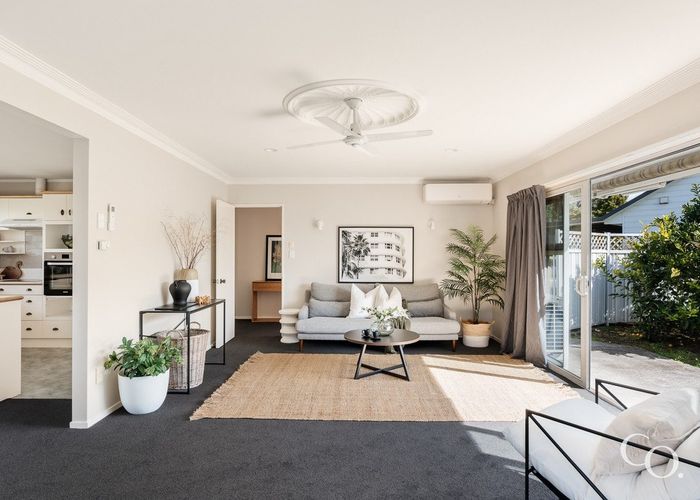  at 53 Te Hono Street, Maungatapu, Tauranga, Bay Of Plenty