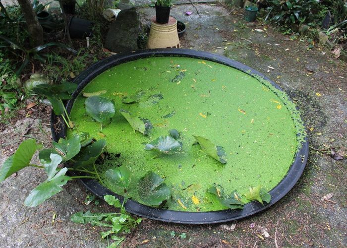  at 23 Woodleigh Road, Huntly, Waikato, Waikato