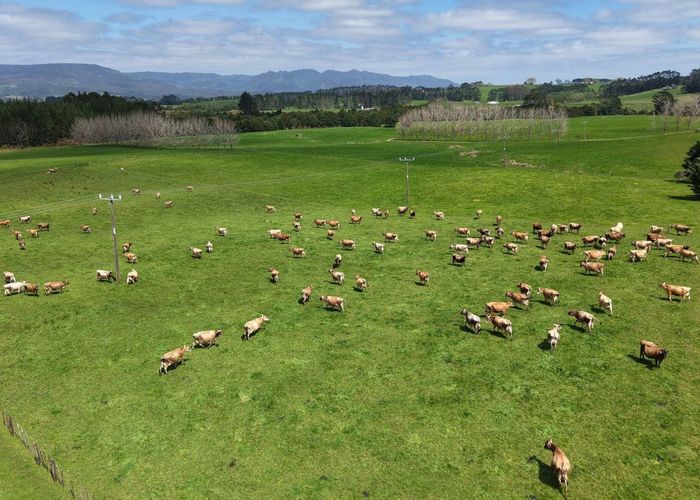  at 374 Rakauwahia Road, Taheke, Far North, Northland