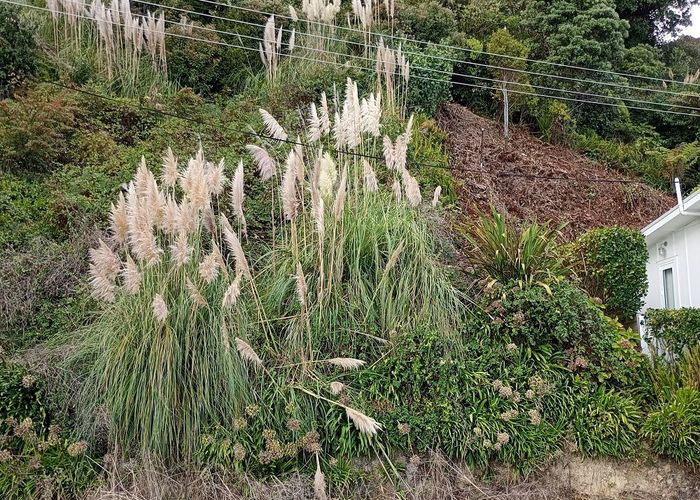  at 820 Thames Coast Road, Te Mata, Thames-Coromandel, Waikato