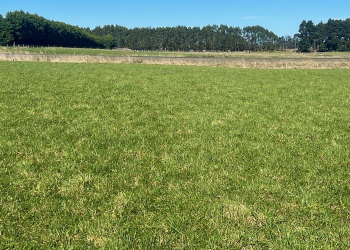  at 31 Mason Road, Seaward Bush, Invercargill, Southland