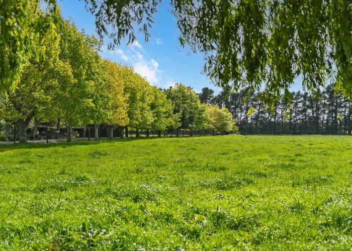  at 225 Chester Road, West Taratahi, Carterton