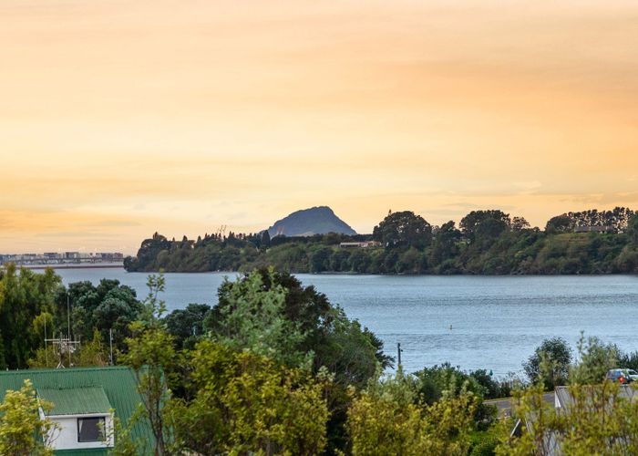  at 1 Miriana Street, Maungatapu, Tauranga, Bay Of Plenty