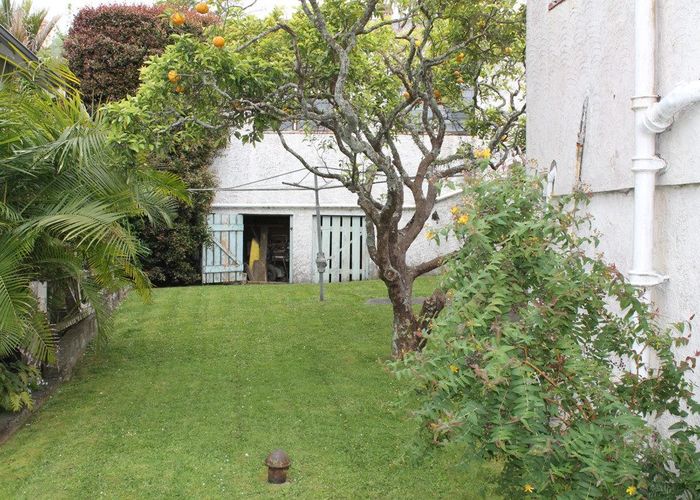  at 25 Williamson Avenue, Grey Lynn, Auckland