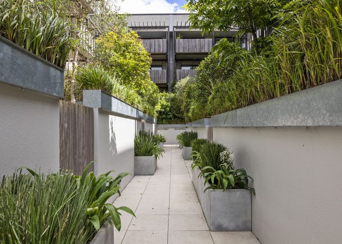  at 206/30 Enfield Street, Mount Eden, Auckland City, Auckland