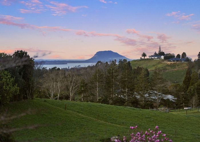  at 535 Esdaile Road, Tauranga