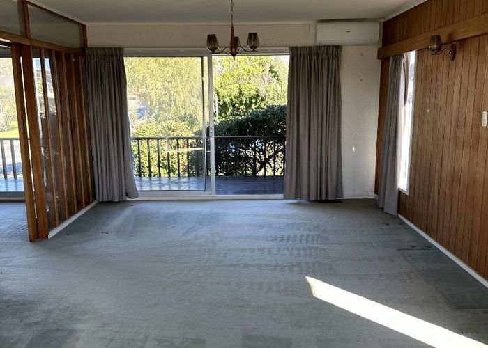 at 17 Currie Avenue, Hillsborough, Auckland City, Auckland