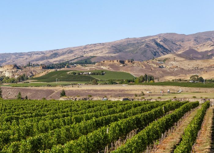  at 160 Pearson Road, Cromwell, Central Otago, Otago