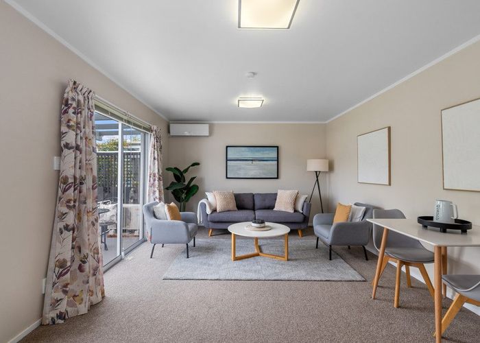  at 17 Newcastle Terrace, Mount Albert, Auckland City, Auckland