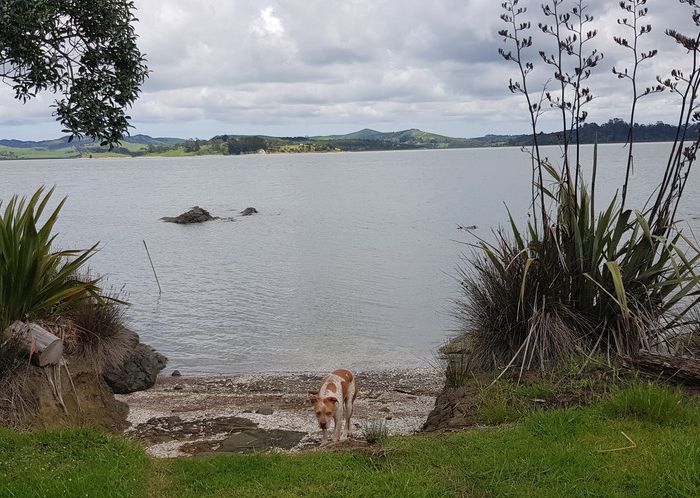  at 452 Pahi Road, Pahi, Paparoa