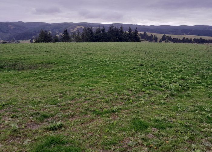 For sale Blue Spur Rd, Gabriels Gully, Lawrence, Clutha, Otago
