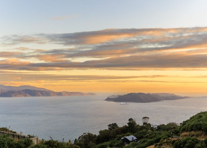  at 46 Domett Street, Newlands, Wellington, Wellington