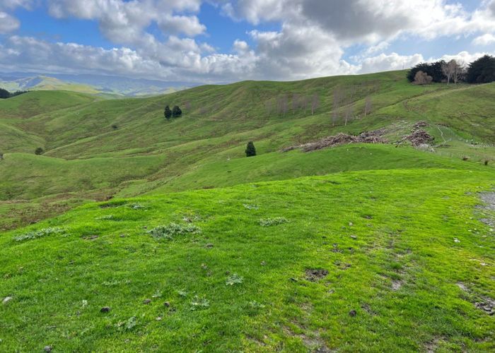  at 7801 Route 52, Dannevirke, Tararua, Manawatu / Whanganui