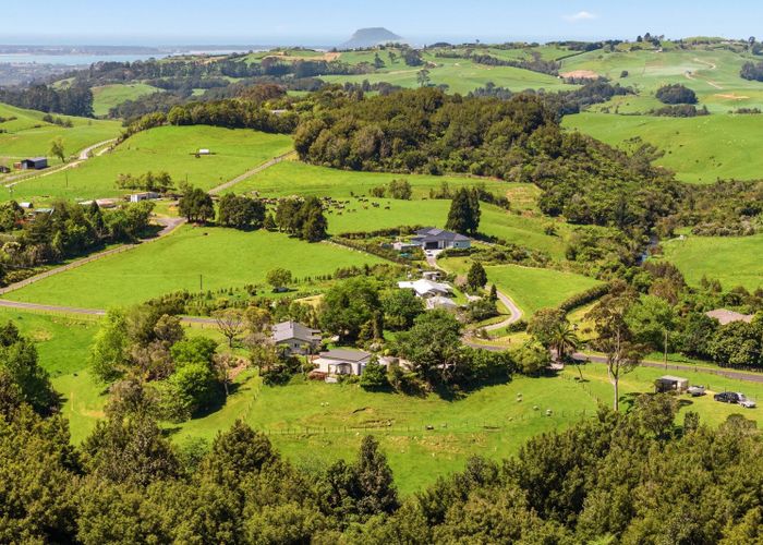  at 42 Leyland Road, Tauranga