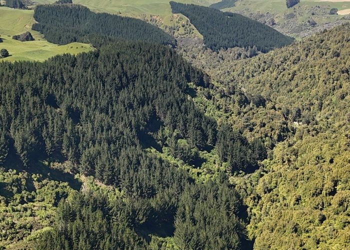  at Lot 3 and 7, 1005 Rangitatau East Road, Kai Iwi, Whanganui, Manawatu / Whanganui