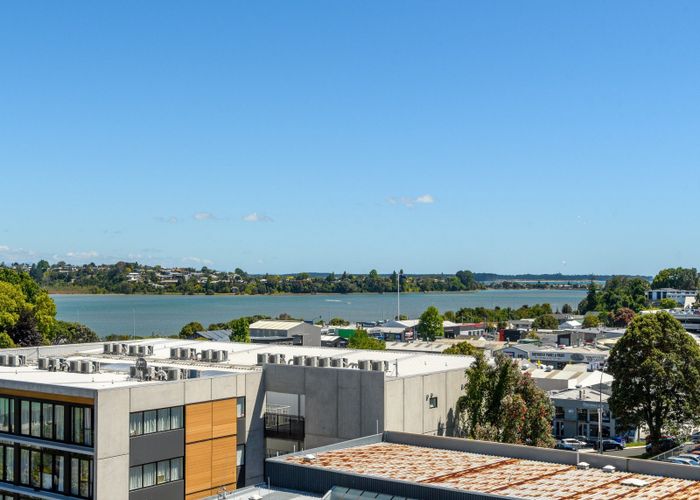  at 359 Cameron Road, Tauranga, Tauranga