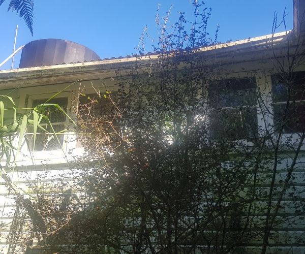  at 18 Neils Beach Road, Jackson Bay, Haast