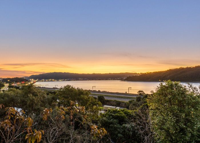  at 9 Ayr Place, Papakowhai, Porirua, Wellington