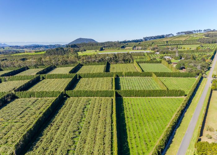  at Poroti, Whangarei, Northland