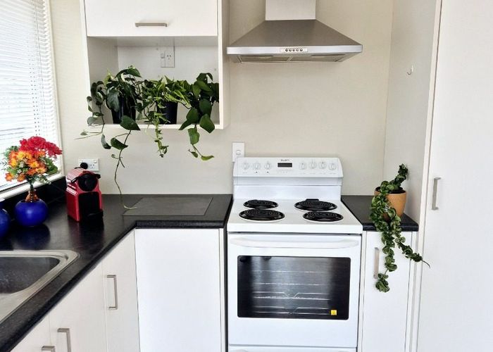  at 81A Pohutukawa Drive, Pukete, Hamilton, Waikato