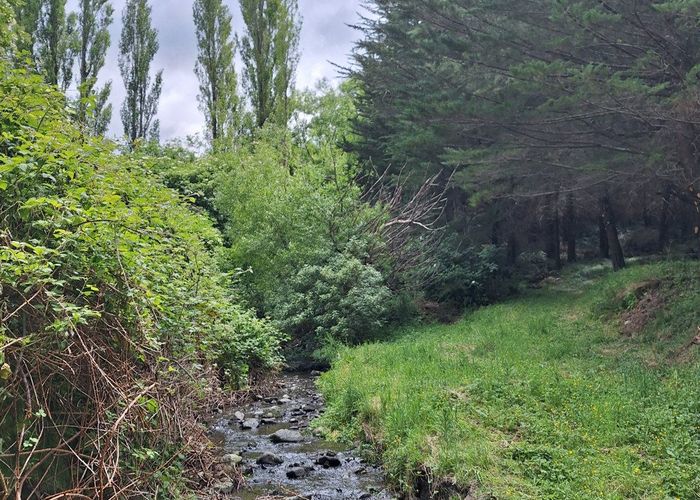  at 240 Sladdens Bush Road, Coopers Creek, Waimakariri, Canterbury