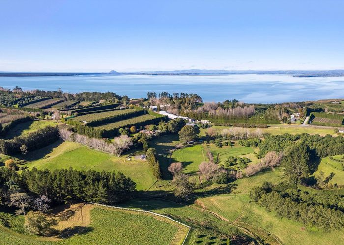  at 303 Kauri Point Road, Katikati, Western Bay Of Plenty, Bay Of Plenty