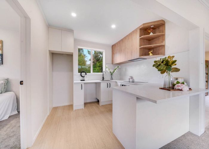  at 101 Seabrook Avenue, New Lynn, Waitakere City, Auckland
