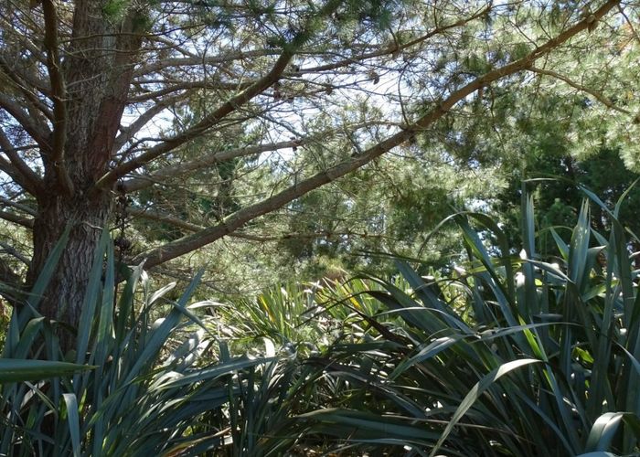  at 16 Waka Tete Place, Waitarere Beach, Horowhenua, Manawatu / Whanganui