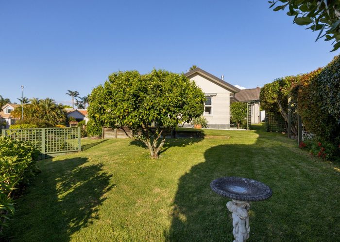  at 6 Bethlehem Heights, Bethlehem, Tauranga