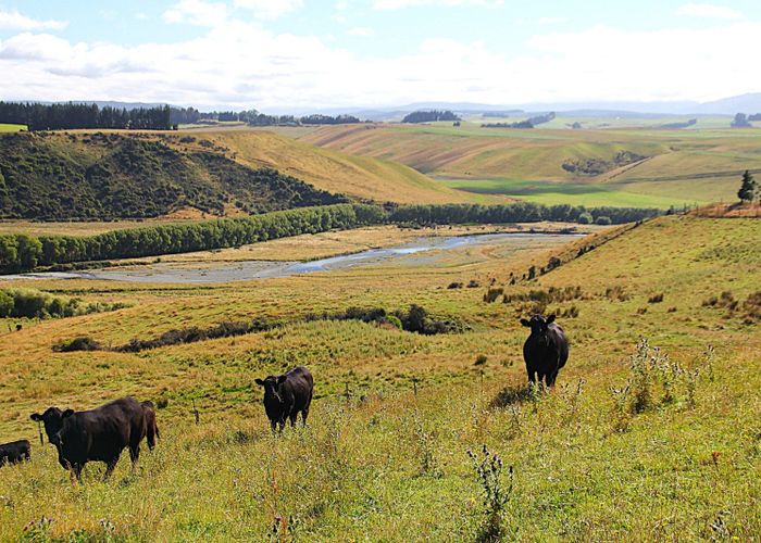  at 93 Ridgedale Road, Te Anau, Southland, Southland