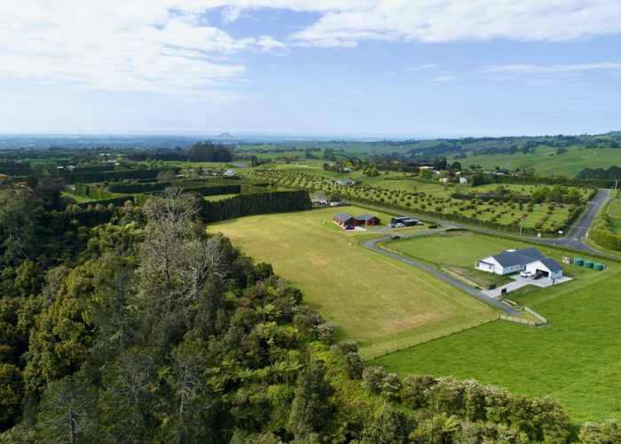  at 1048C Oropi Road, Oropi, Tauranga, Bay Of Plenty