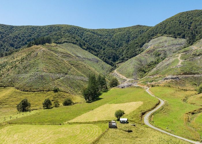  at Tunakino Valley, Rai Valley, Marlborough, Marlborough