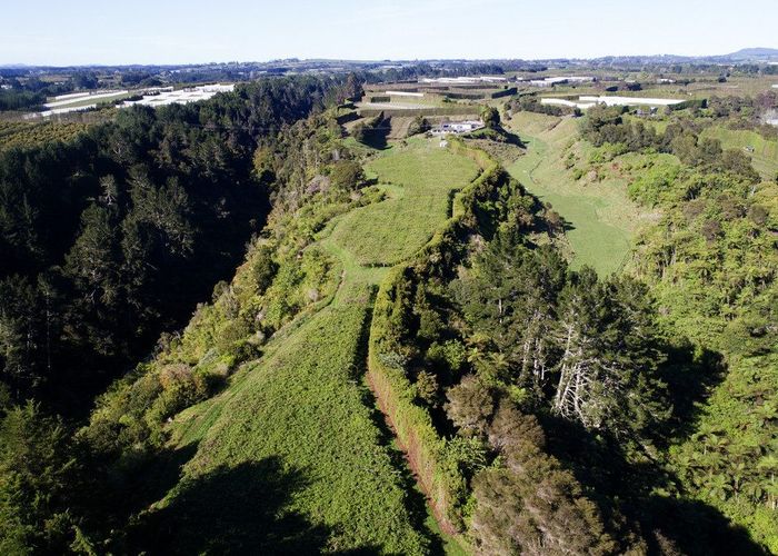  at 99 Homewood Drive, Te Puke, Western Bay Of Plenty, Bay Of Plenty