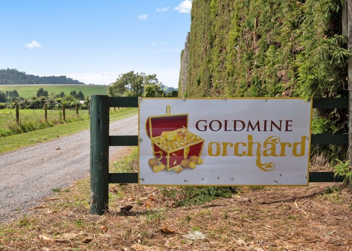 at 9653 State Highway 2, Waihi, Hauraki, Waikato