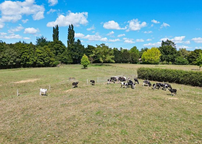  at 407 Kuranui Road, Morrinsville, Morrinsville