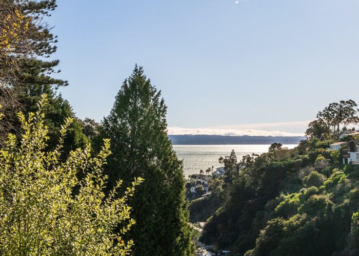  at 23 Fitzroy Road, Bluff Hill, Napier, Hawke's Bay