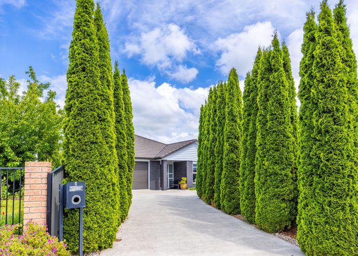  at 6 Peter Way Place, Glenview, Hamilton