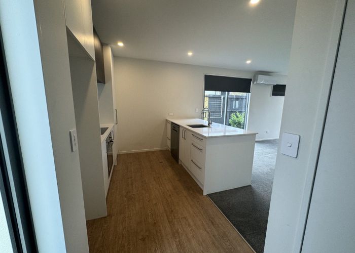  at 99 Simeon Street, Spreydon, Christchurch City, Canterbury