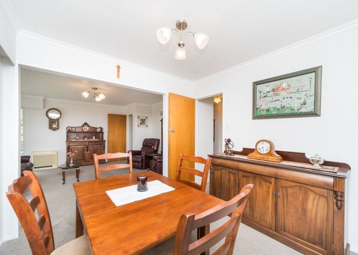  at 45 Dittmer Drive, Awapuni, Palmerston North, Manawatu / Whanganui