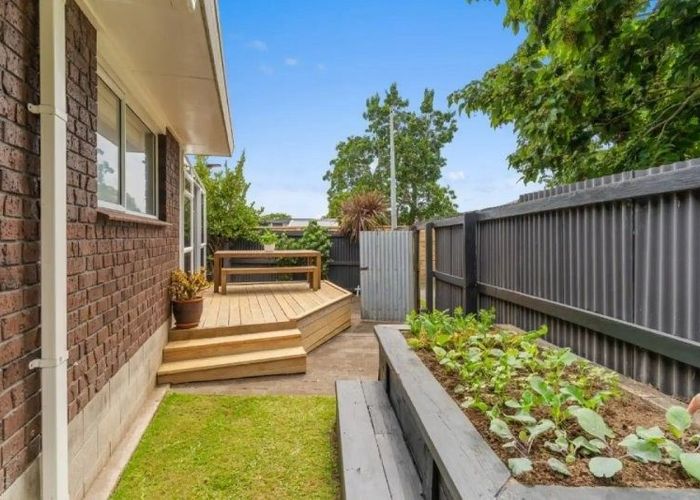  at 50a Andrew Place - OTUMOETAI, Otumoetai, Tauranga, Bay Of Plenty